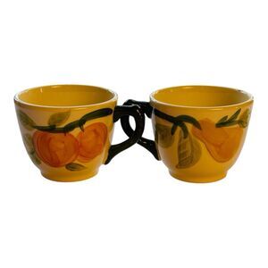 Franciscan Fresh Fruit Coffee Cups Pair Vintage